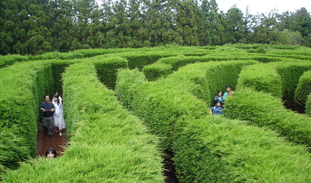 Jeju Gimnyeong Maze Park by o.b.