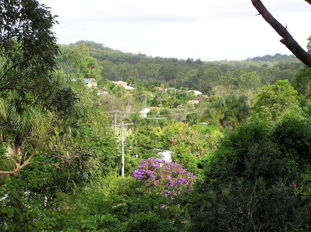 Verandah outlook by big ted