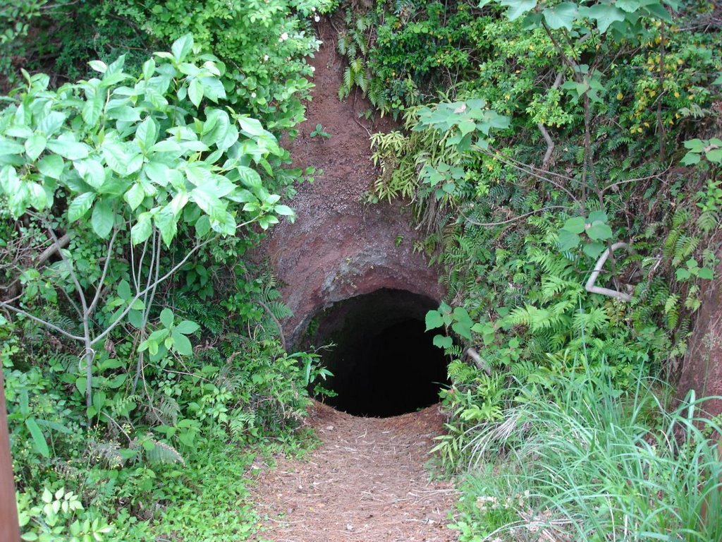 Tunnel entry (for Japanese army dug by Korean forced laborers) by o.b.