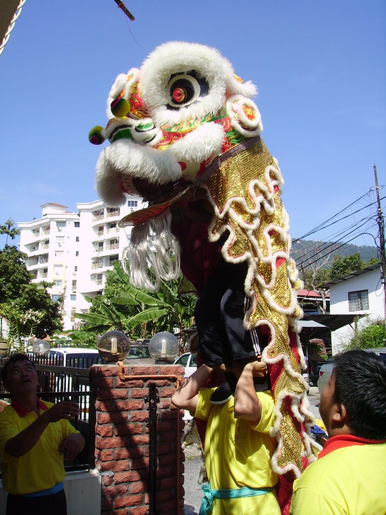 Lion Dance II by Haniff Sulaiman