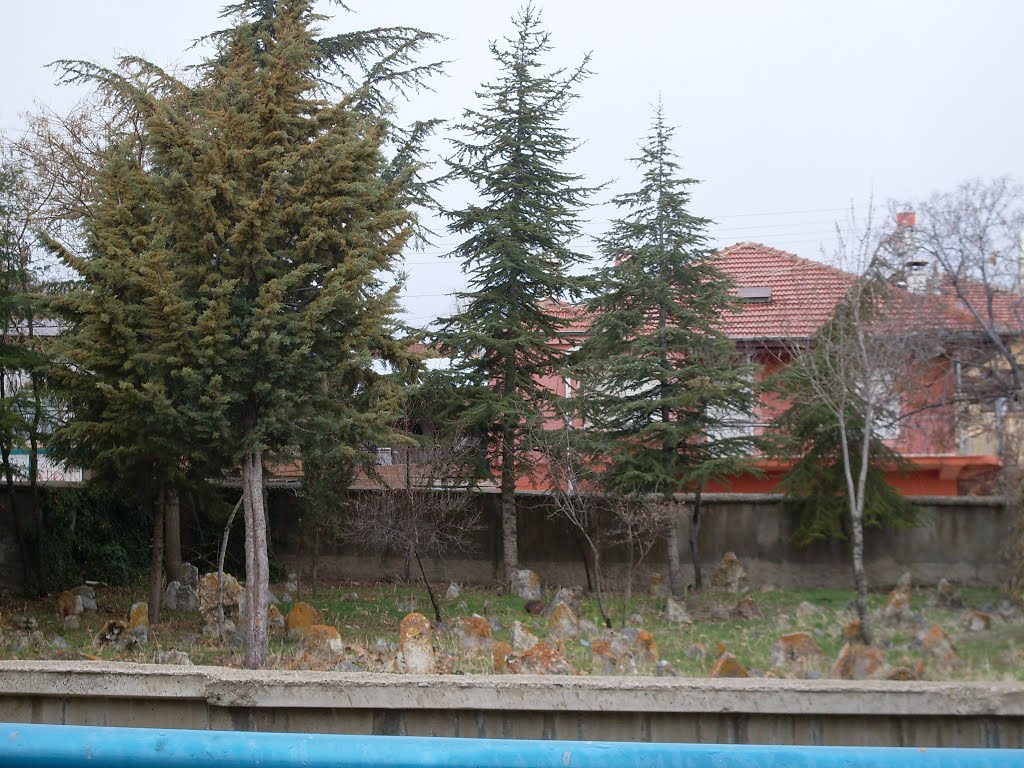 Güneysınır, Güneybağ, Eski Camii Haziresi by Kasım OKTAY