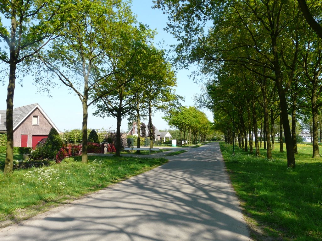 De Schonauwenseweg, zicht op oosten, Houten by David Jimmink