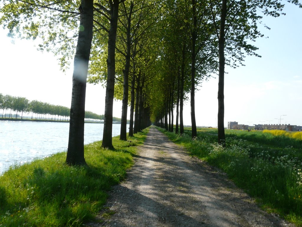 (toekomstig) fietspad langs Amsterdam-Rijnkanaal, zicht op noordwesten, Houten by David Jimmink