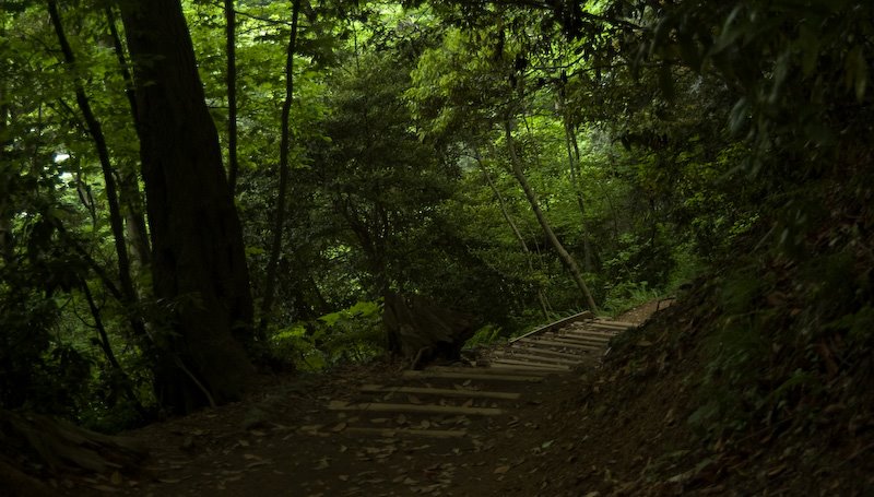 Mt.Takao by mppp