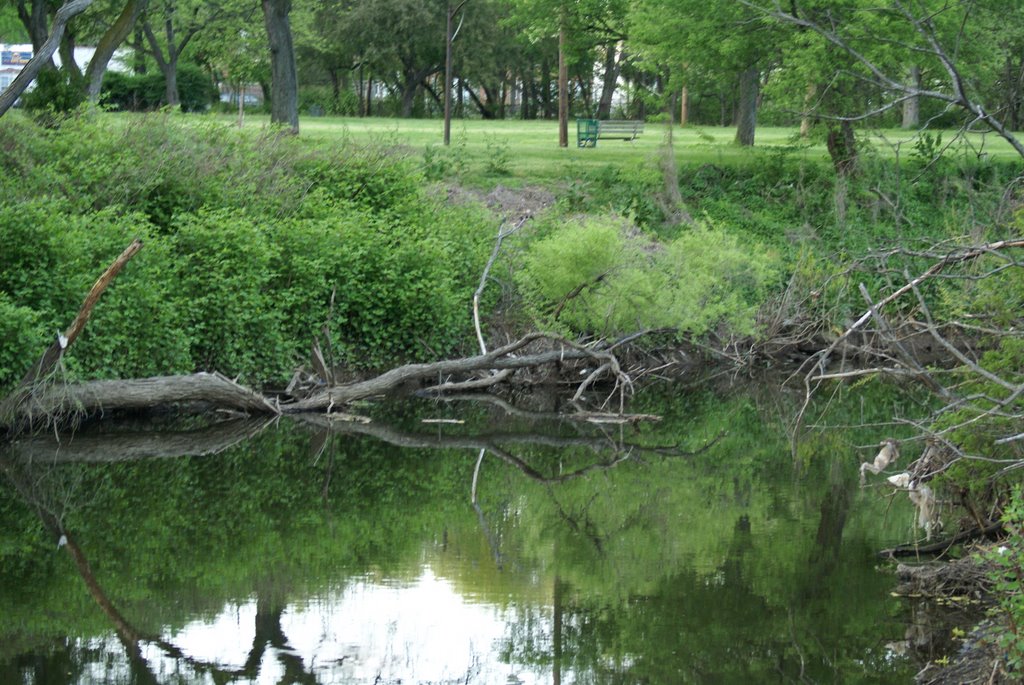 Assunpink Creek AT HETZEL FIELD FACING GEORGE PAGE PARK TRENTON, NJ by ANGEL N RODRIGUEZ