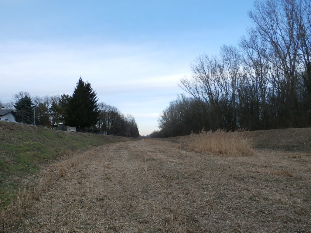 Überlaufkanal der Traisen by gt123456