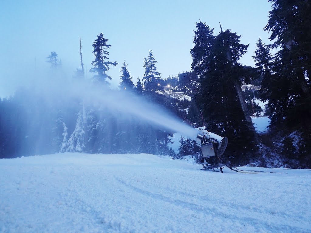 Man-Made Snow Made the Winter, 2/7/2014 by Wester