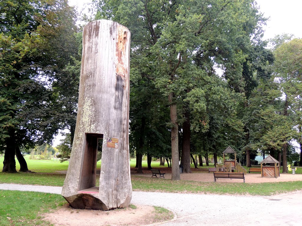 Nantes, parc du Grand Blottereau, arbre creux by tofil44