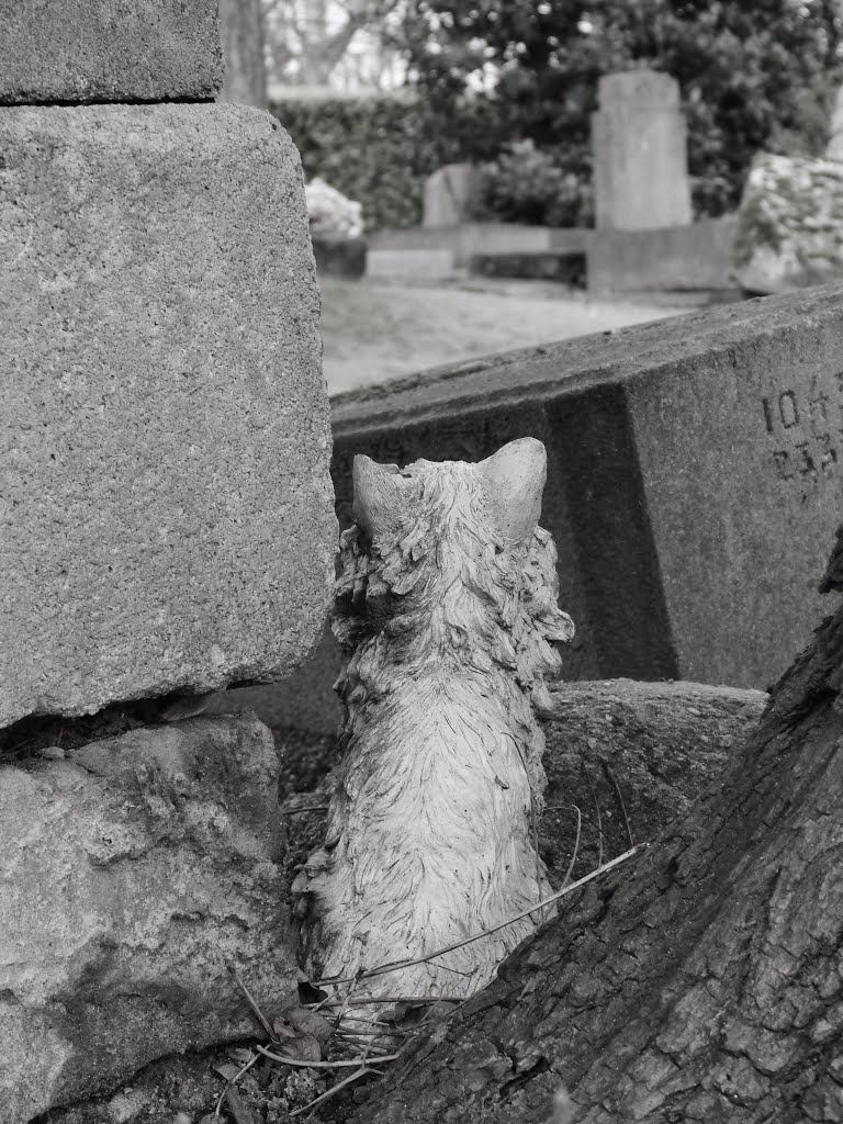 Le Cimetière des Chiens, Asnières-sur-Seine. by laurentSnogoogleviews!