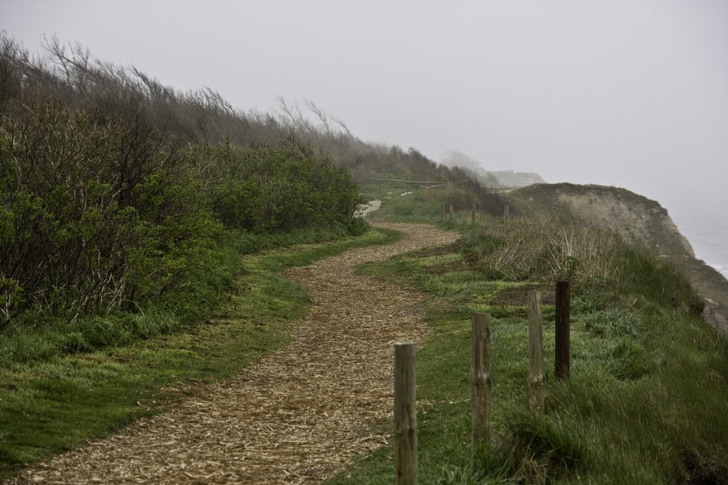 Steilküstenweg bei Ahrenshoop by Erwin Meier