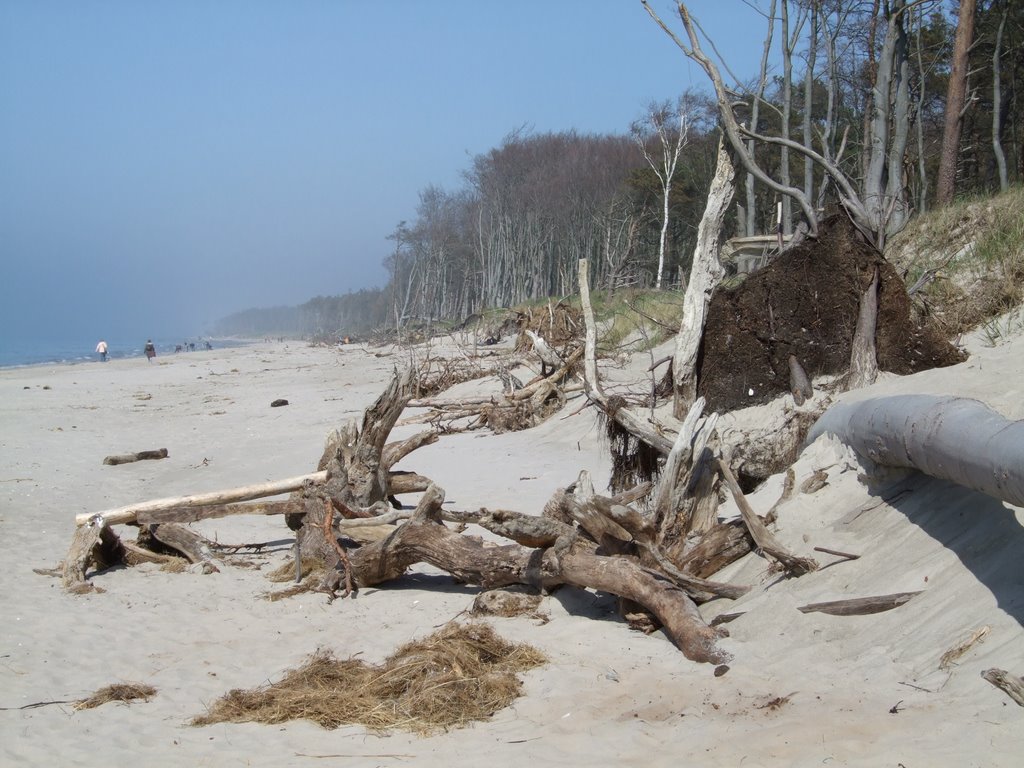 Weststrand bei Prerow by Erwin Meier