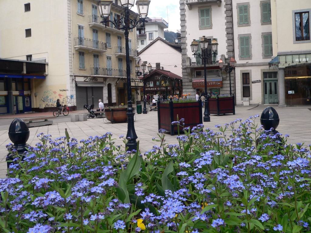 France, la ville de Chamonix fleurie by Roger-11