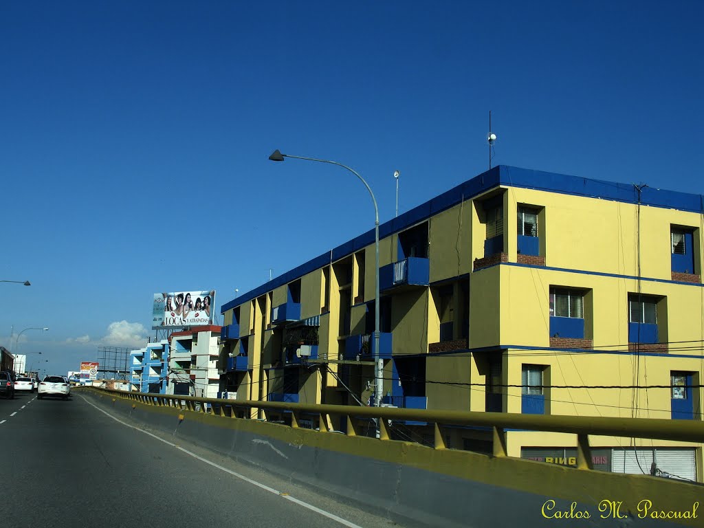 VIADUCTO EN SANTO DOMINGO D. N. R. D. by Carlos M. Pascual