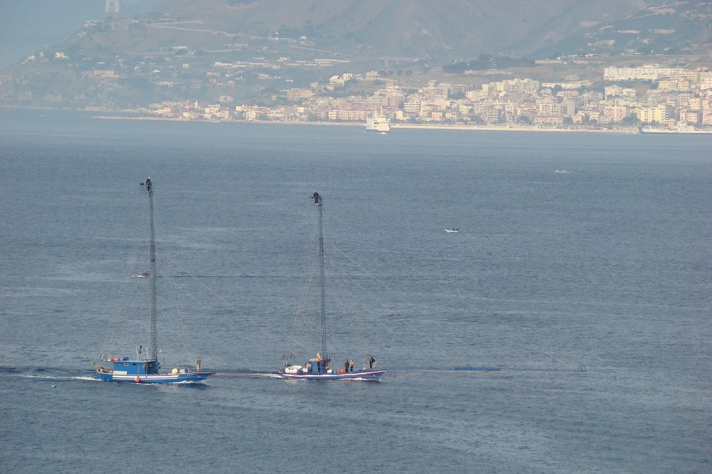 Le spadare dello Stretto di Messina by ninoplato