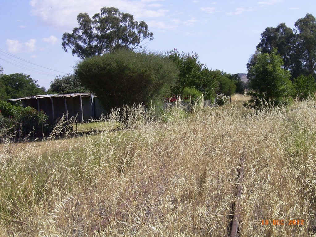 Billimari - Railway Line Runs Very Close to a House - 2012-12-13 by sandyriva