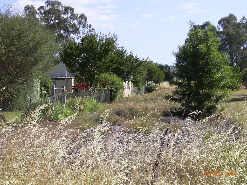 Billimari - Railway Line Runs Very Close to a House - 2012-12-13 by sandyriva