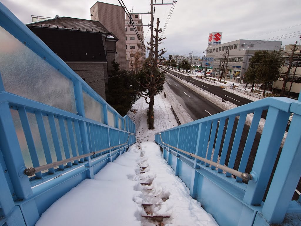 東八道路　降雪翌日 by mthr110