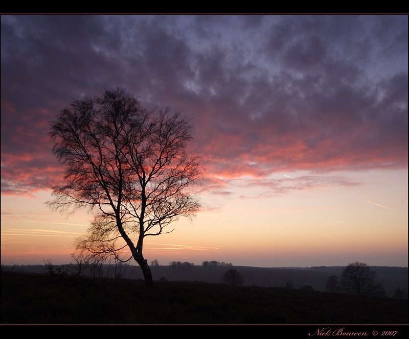 Evening view Holterberg by Niek Bouwen