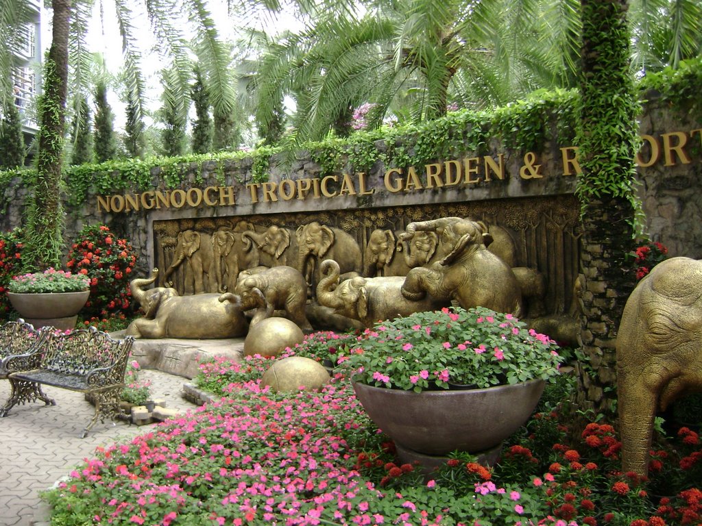 Nongnooch Tropical Garden by KarlosK