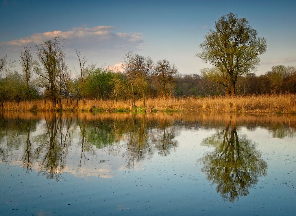 Wilanów Królewski, Warszawa, Poland by Marcin Moszczeński