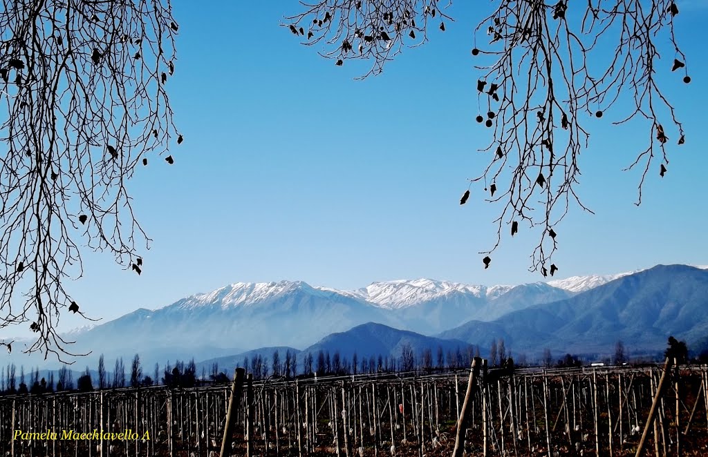 Cordillera de los Andes by Pamelaimágenes