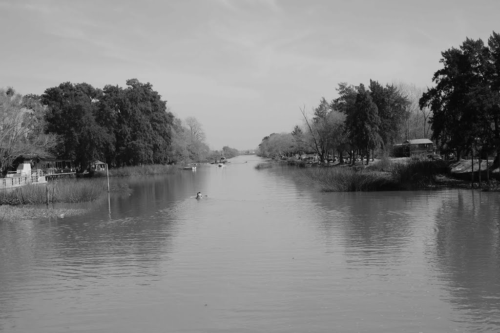 Rio del delta del Paraná by Barrerovillaguay