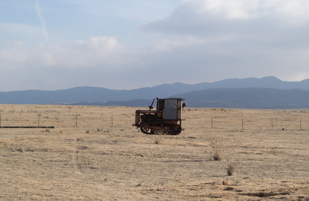 Carrizo Plain Natl Mon (0908) by donbrr