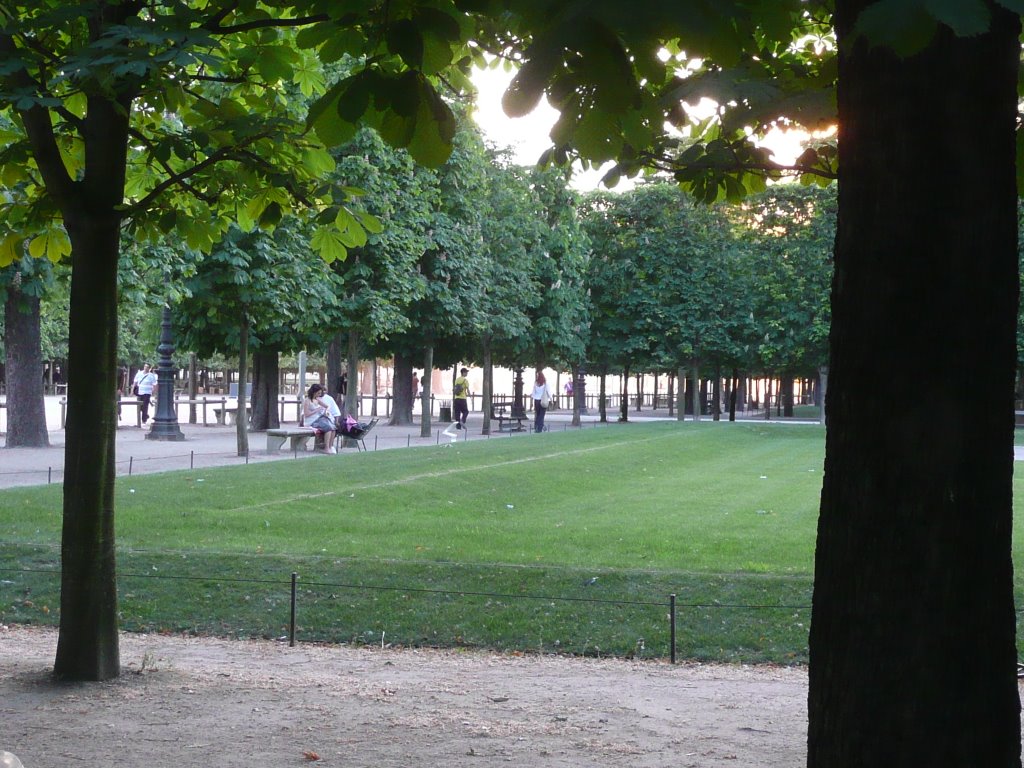 Jardin des Tuileries - Paris - França by Paulo Targino Moreira Lima