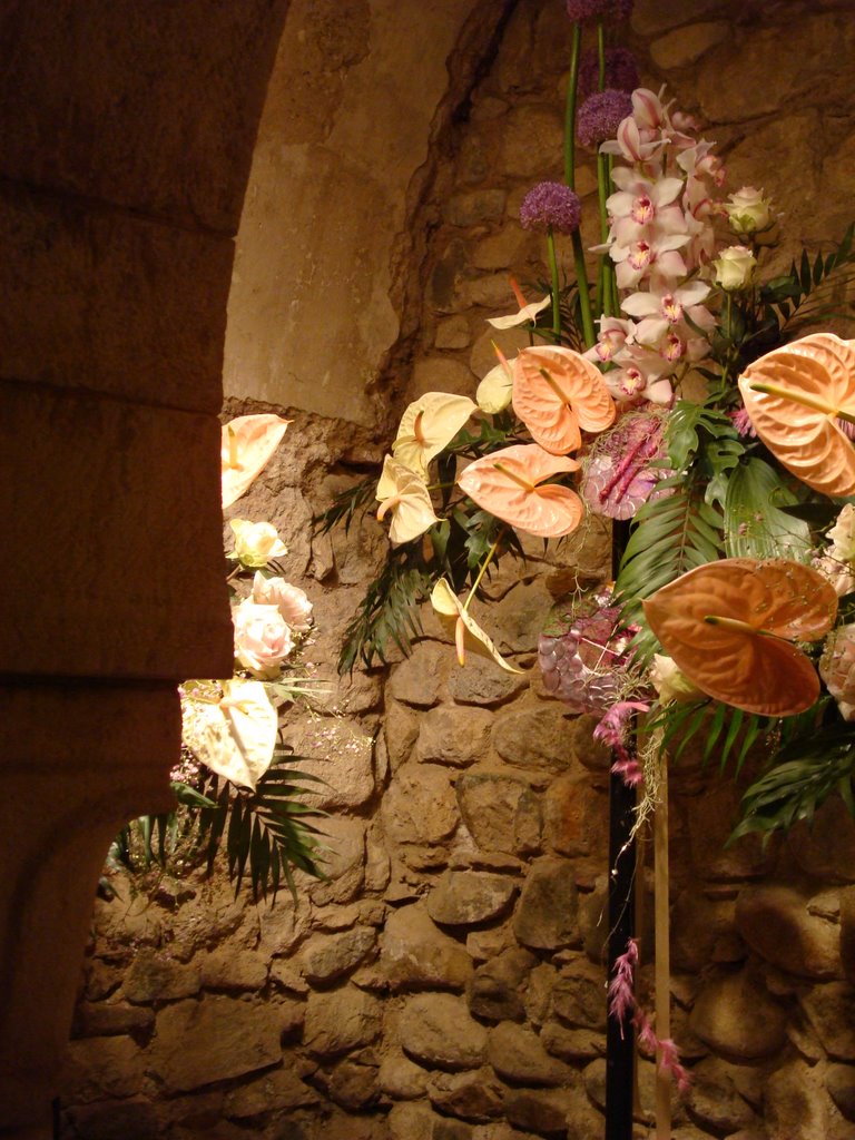 GIRONA EN FLORS 2008 by LLUÏSA Palacio