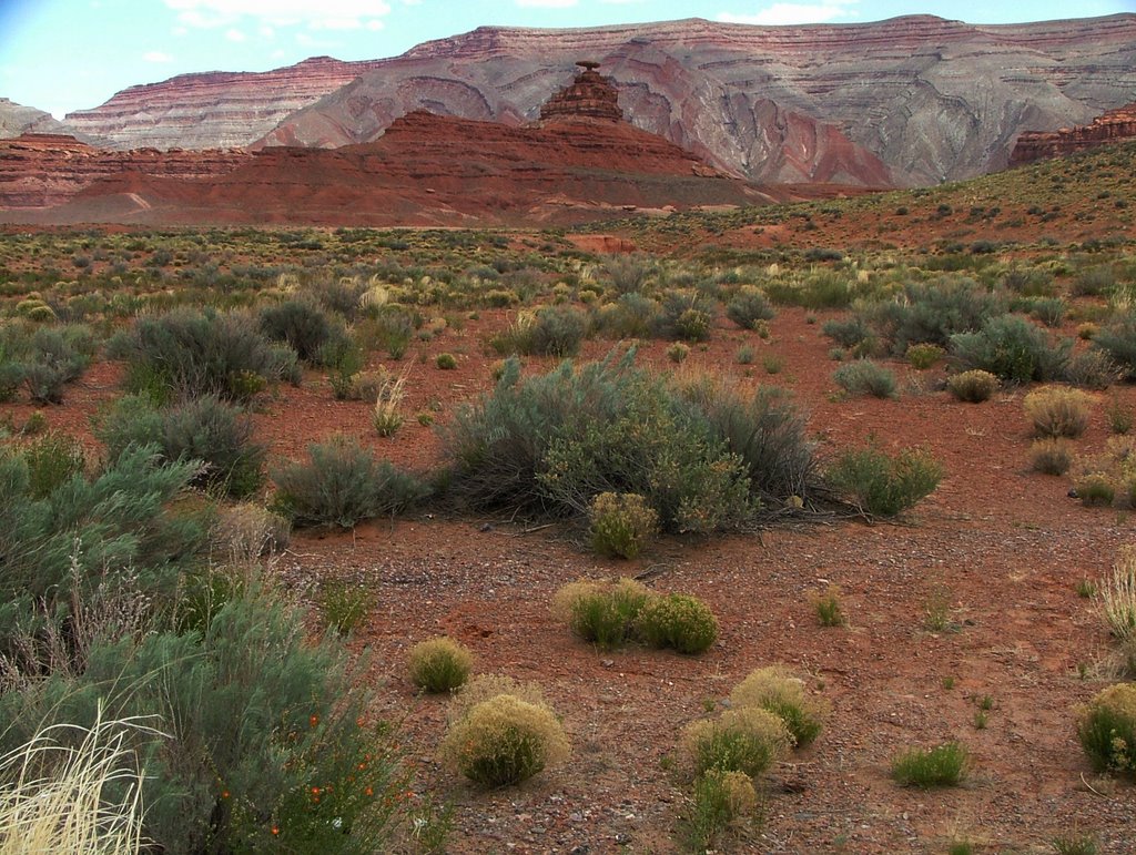 Mexican Hat: Swinging Rock by pic.point