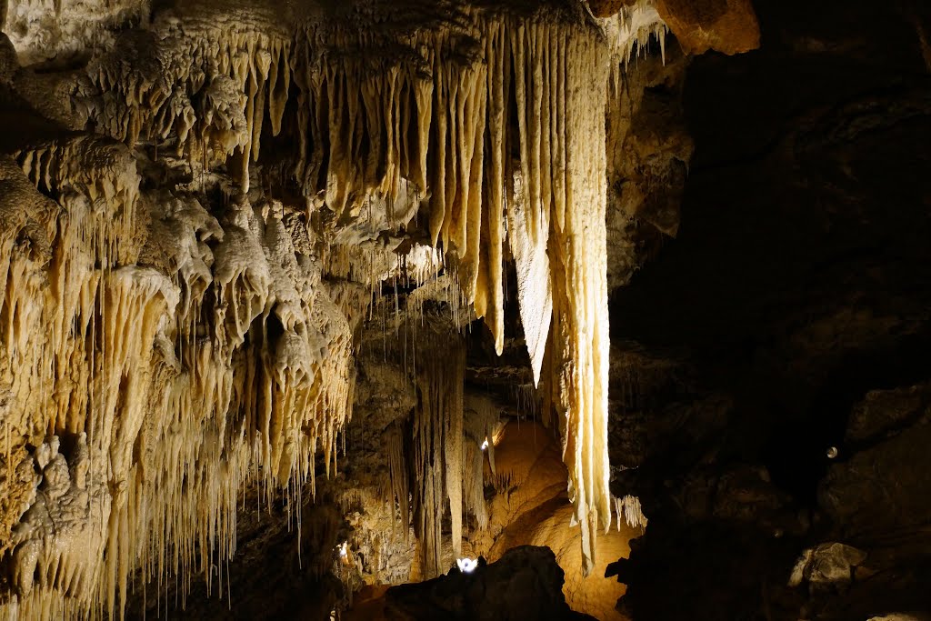 Marakoopa Cave Tasmania 澳洲 塔斯曼尼亞 瑪拉庫壩鐘乳石洞 by Cheuk