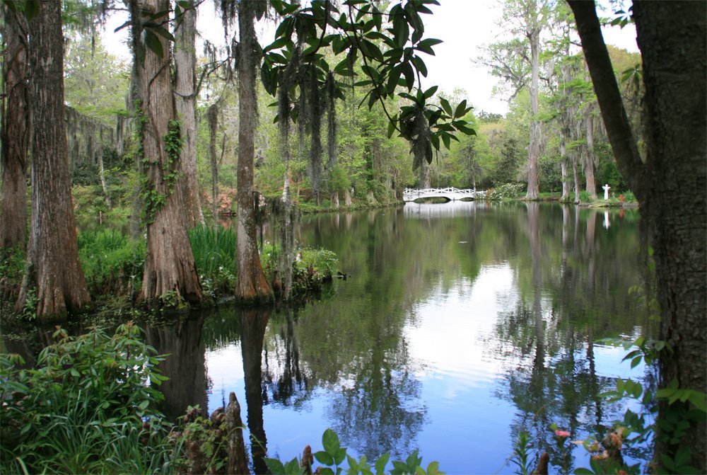 Magnolia Plantation by macbeth9