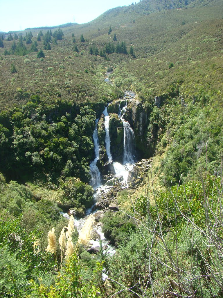 19.01.2014 Waipunga Falls by frédéric429