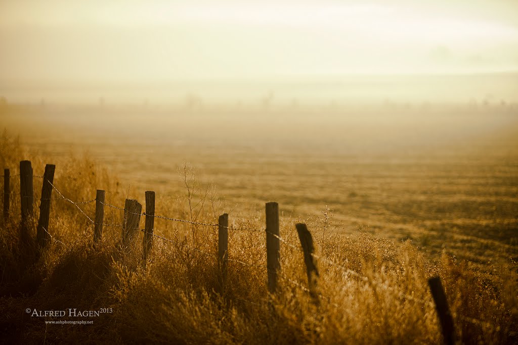 Into the Sun by Alfred Hagen www.ashphotography.net