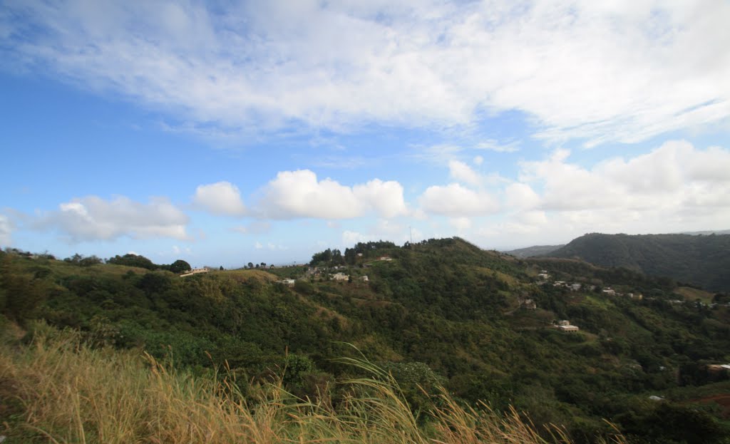 Barrio Gato-Orocovis by Ricardo David Jusino