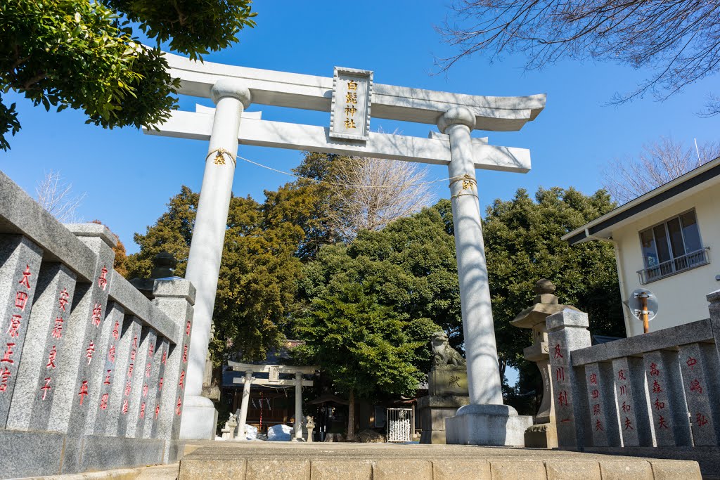 白髭神社 -Shirahige Shrine- by Saruman8000