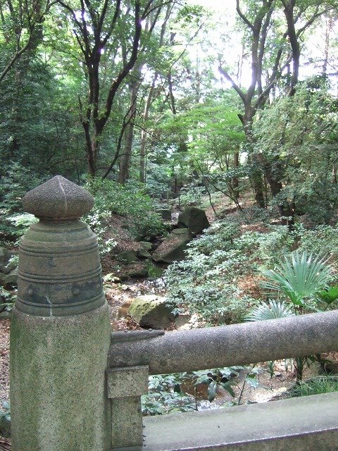 Meiji Shrine　明治神宮 by naoto__f