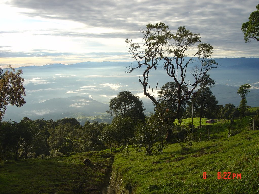 Vista desde El Canforro by Francisco Rojas