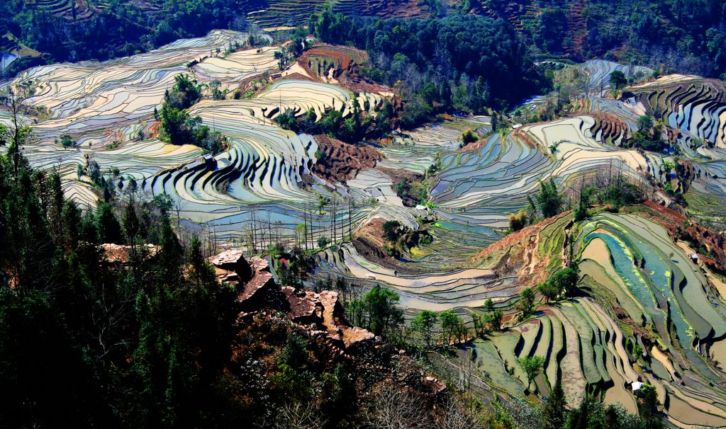 Yuanyang, Honghe, Yunnan, China by Stockton Zhang