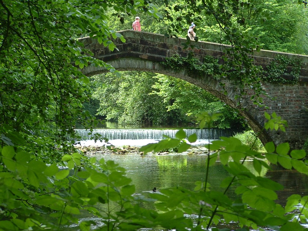 Ilam Park by Neal Clark