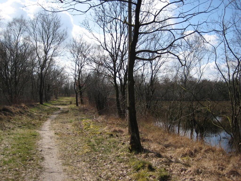 Bokel - Naturerlebnis "Großes Moor" / Moorwanderweg by Robert-68