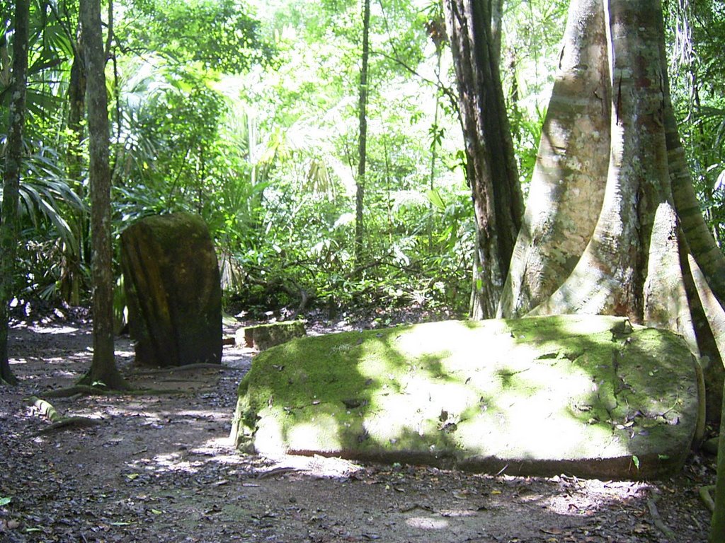 Guatemala - Tikal by Styve Reineck