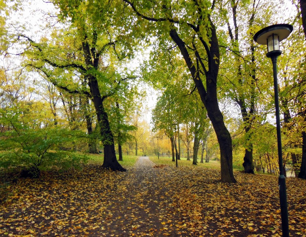 Path in Tantolunden park by Petteri Kantokari