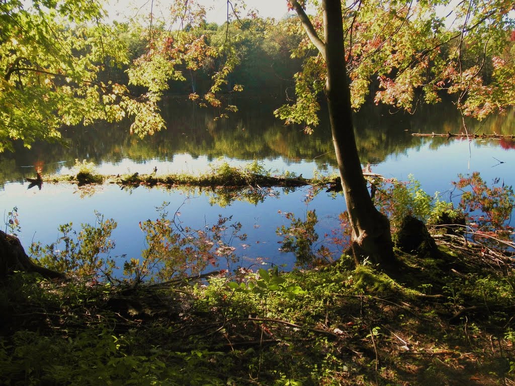 Tracy lake trails by Leah Covert