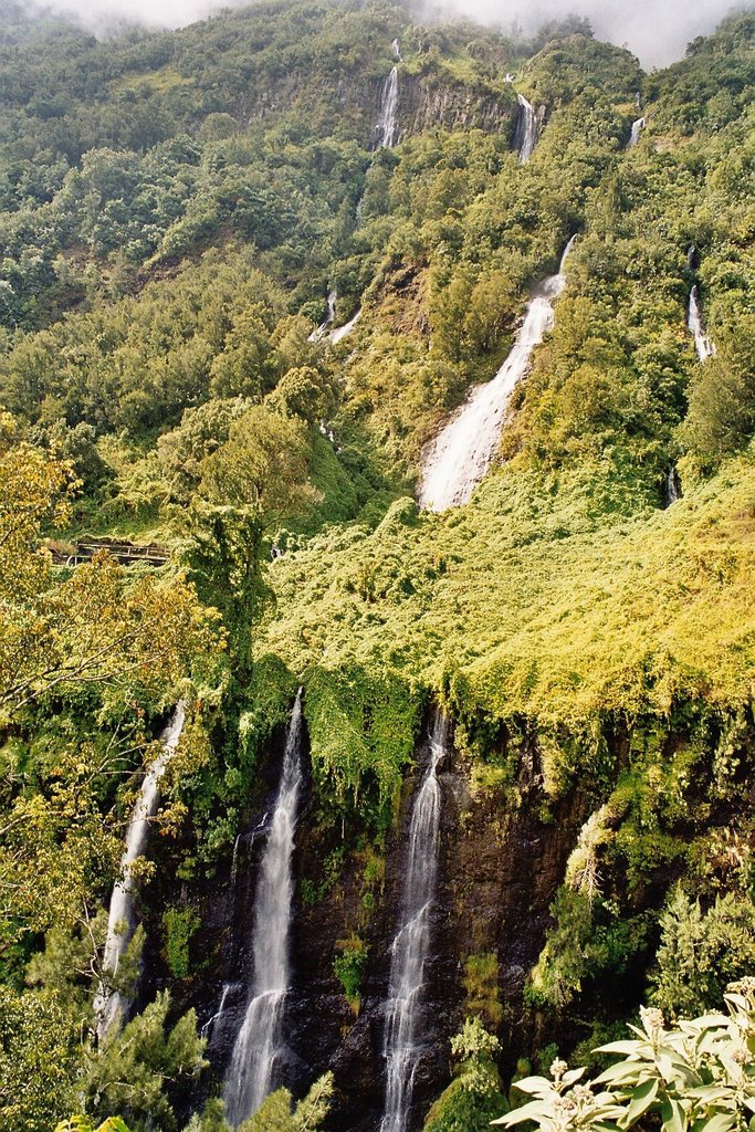 La Reunion by Styve Reineck