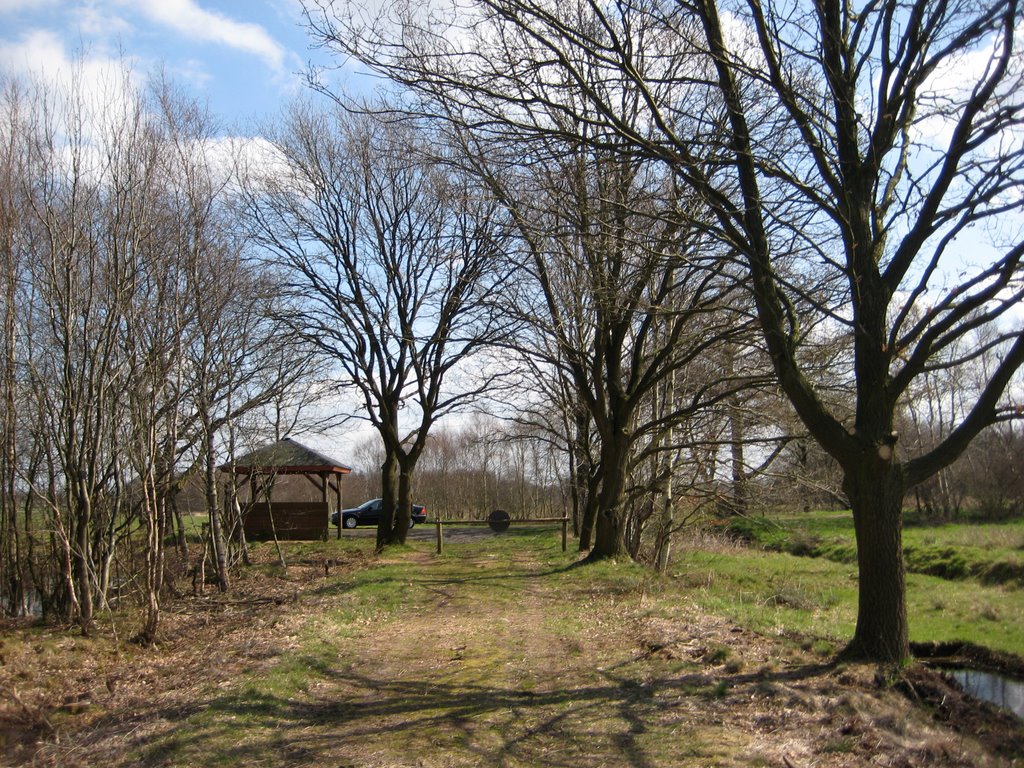 Bokel - Naturerlebnis "Großes Moor" / Naturerlebnispfad - Blick Richtung Ausgangspunkt by Robert-68