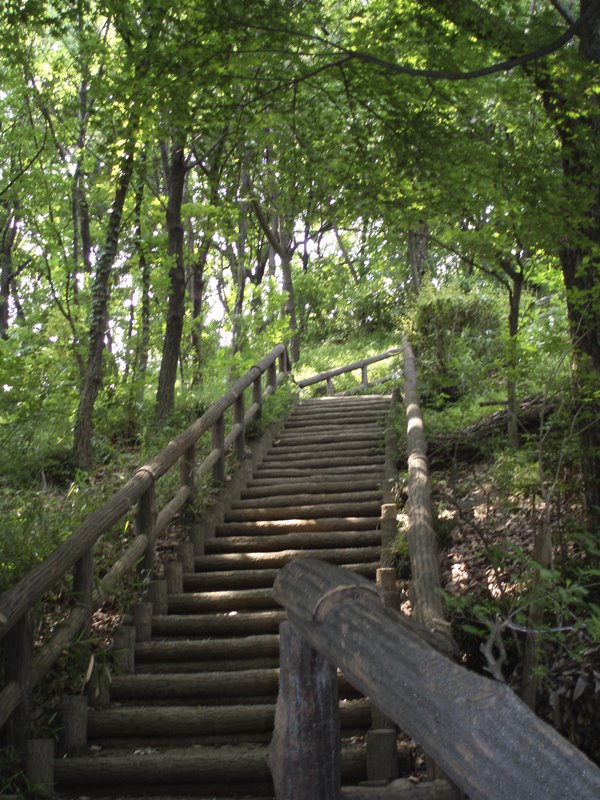 Mogusadai Natural Park by Kiyoshi Fujimoto