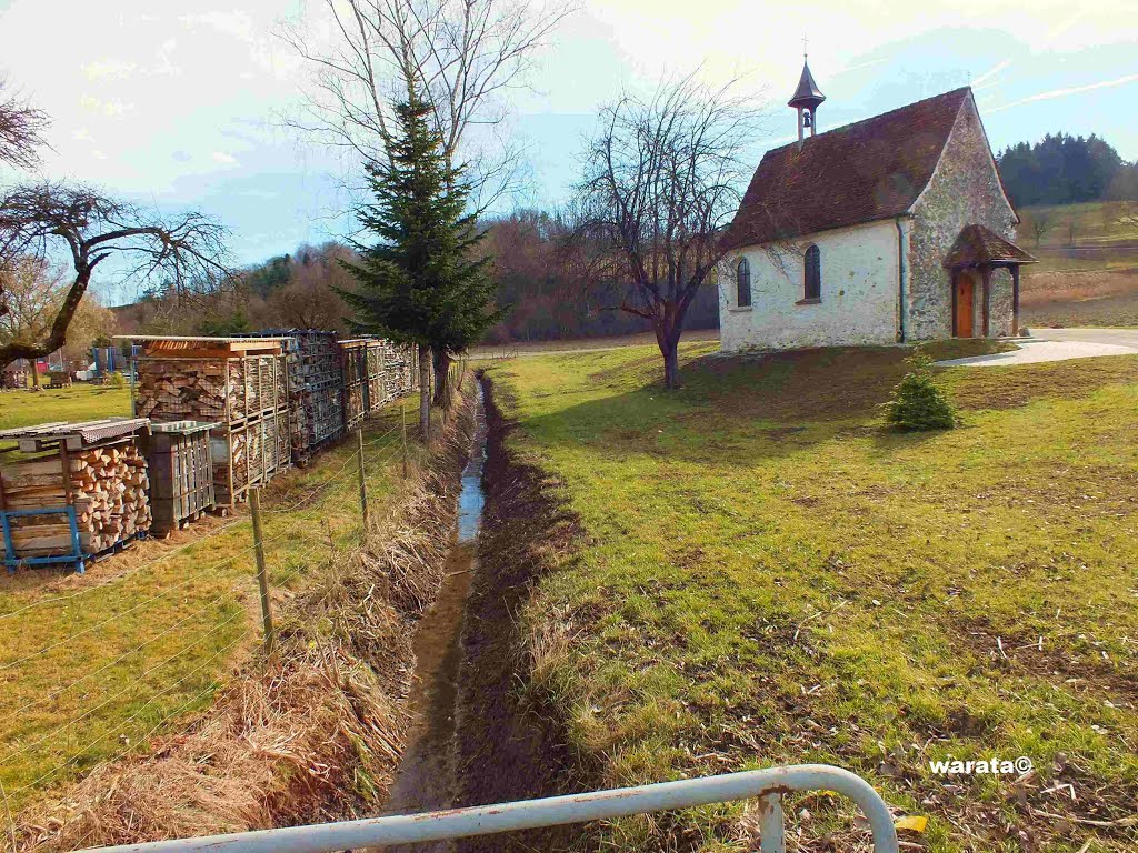 Mennmangen (i) – Gemeinde Deggenhausertal > Wendelinskapelle by warata