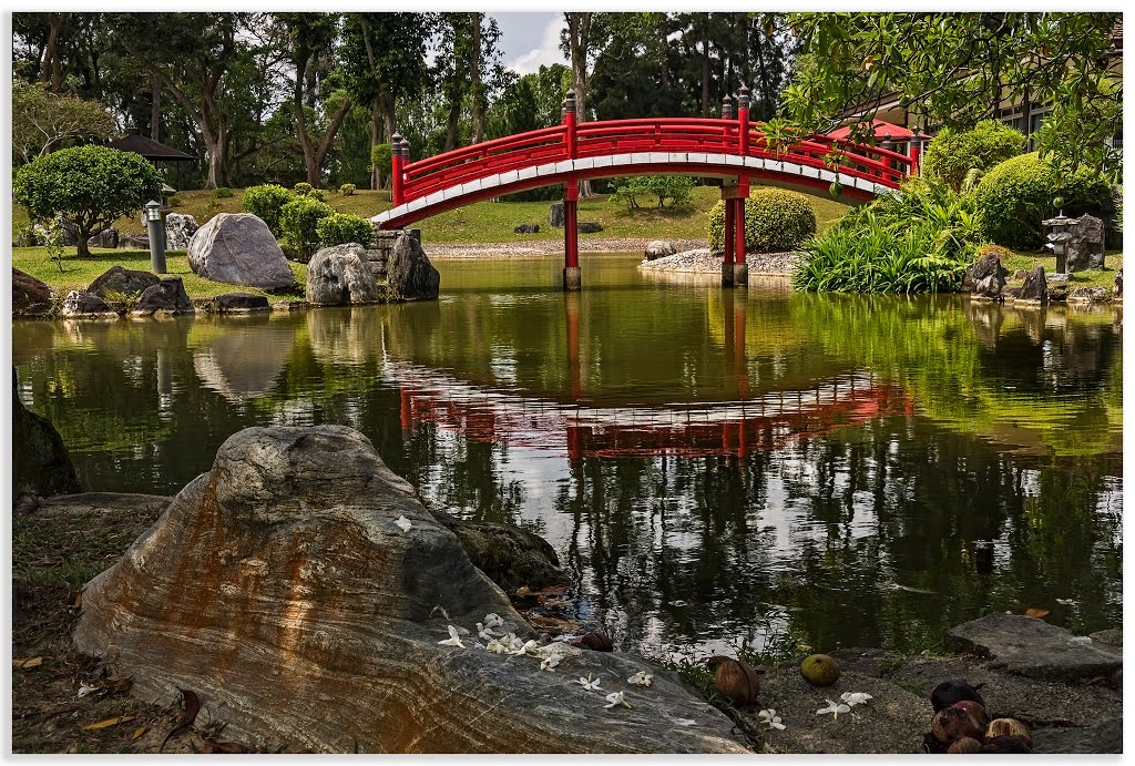 Japanese garden bridge by Wadders