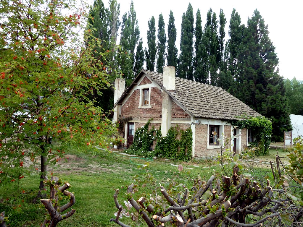 ARGENTINA, El Calafate: Cabañas el Puente, Santa Cruz by NellvdBoschLevendig